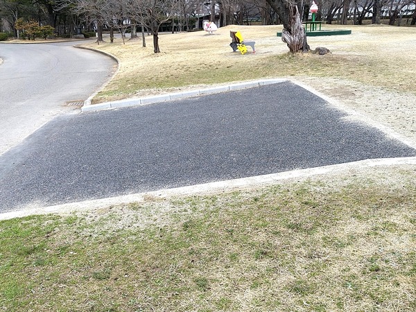 Point Blur_20220401_131917