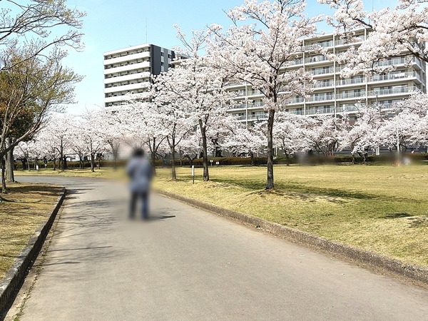 Point Blur_20220411_151339