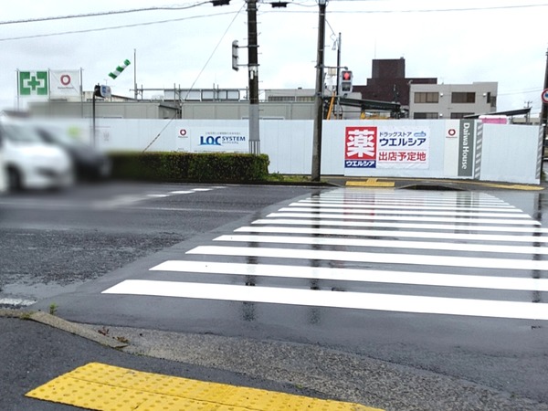 Point Blur_20230618_143007