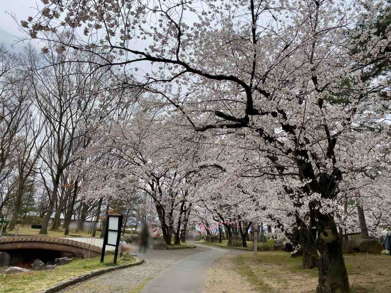 長野市の桜満開第3弾!『川中島古戦場史跡公園』の桜見に行ってみた。※4月12日撮影 ながの通信 長野県長野市の地域情報サイト 長野市の桜満開第3弾!『川中島古戦場史跡公園』の桜見に行ってみた。※4月12日撮影 ながの通信 長野県長野市の地域情報サイト
