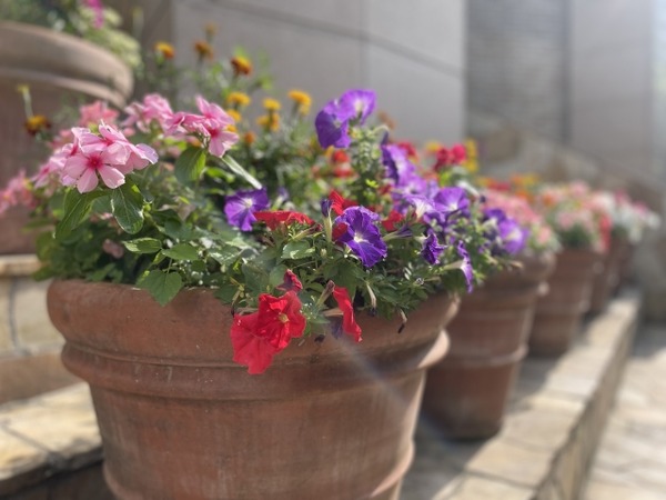 花と緑のフェスティバル