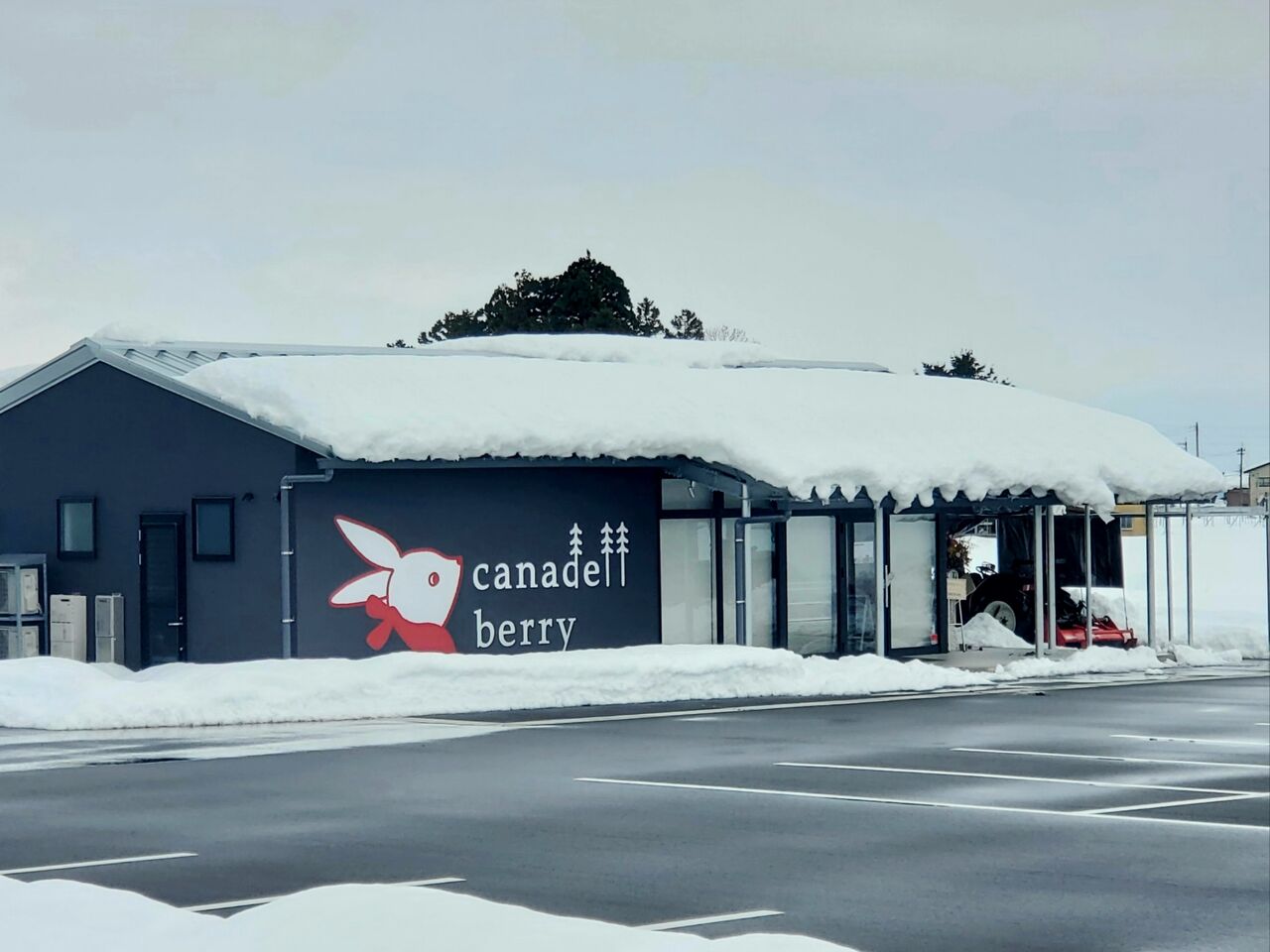 塩に Canadell Berry カナデルベリー なる いちご狩り や ぶどう狩り ができる観光農園がオープンしてる 富山デイズ 富山県 富山市の地域情報サイト
