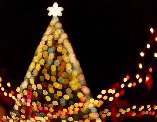 今年も『環水公園』にクリスマス限定イルミネーション！天門橋で『環水