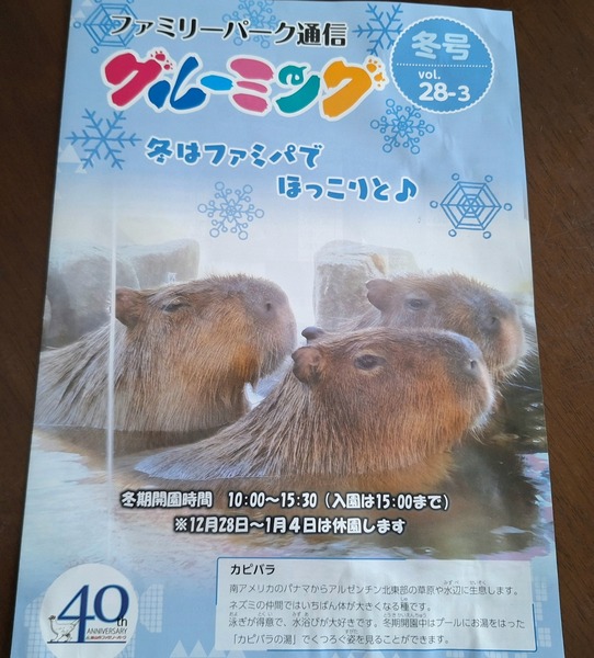 カピバラの湯3