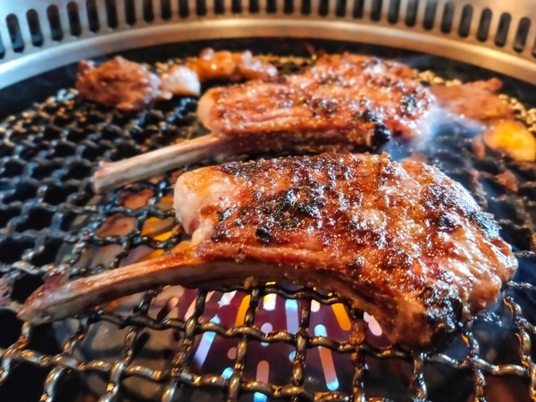 富山初開催！極上のラムを味わい尽くす2日間！富山市新総曲輪『NHK跡地』で『とやまラムフェスティバル2026』開催。4月25日、4月26日