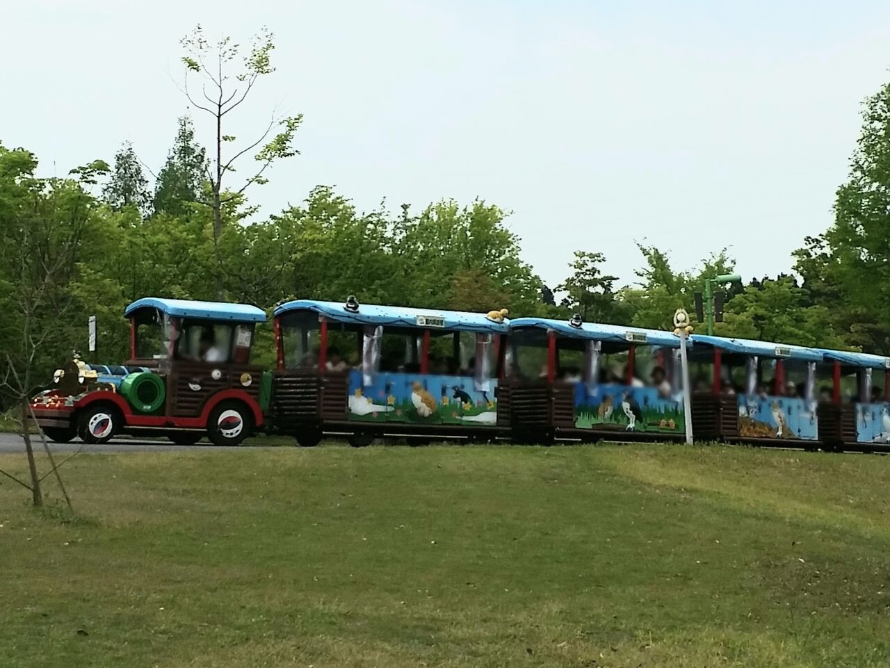 太閤 山 ランド 自転車 レンタル