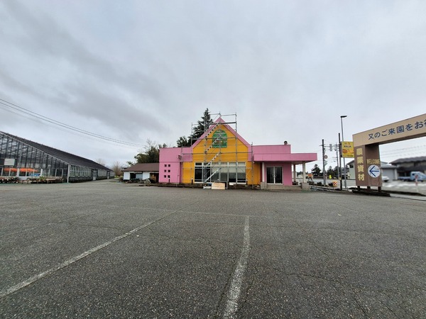 Point Blur_20240124_103215