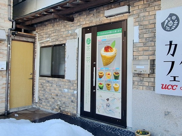 チャバパイプランテーション1