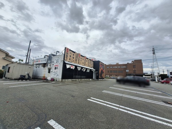 Point Blur_20241104_135833