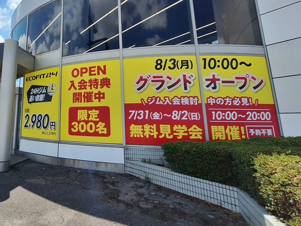 エコフィット5