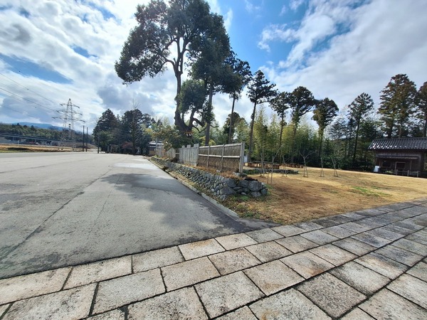 Point Blur_20240322_124635