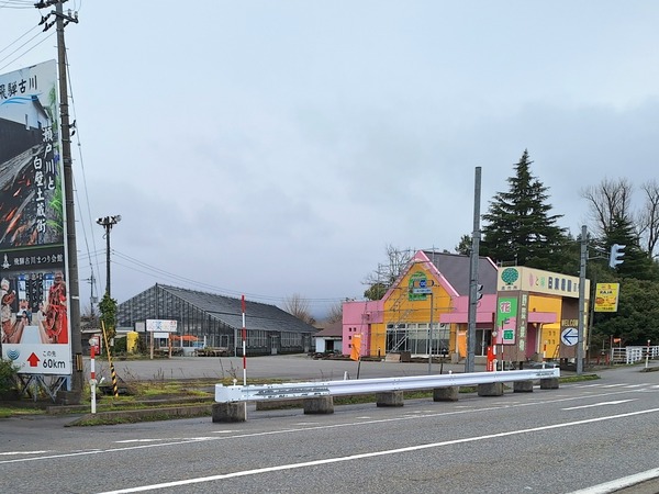 Point Blur_20240124_103233