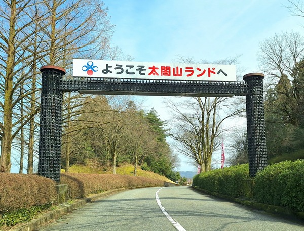 Point Blur_20240425_195552