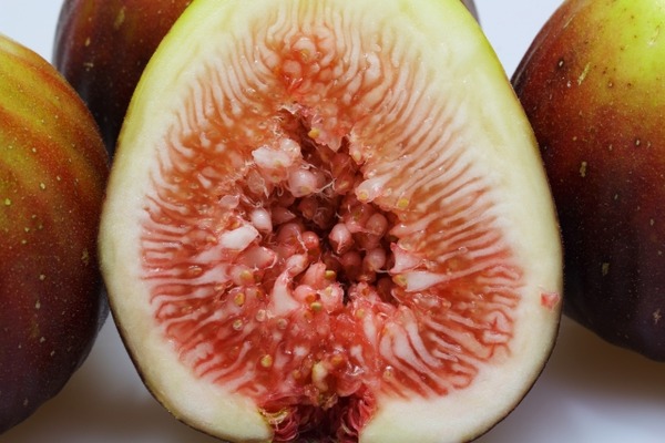 メープルハウス