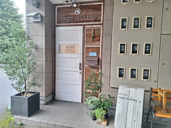 ウプス・ア・デイジー1