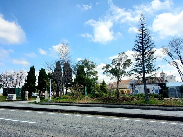 Point Blur_20220405_102940