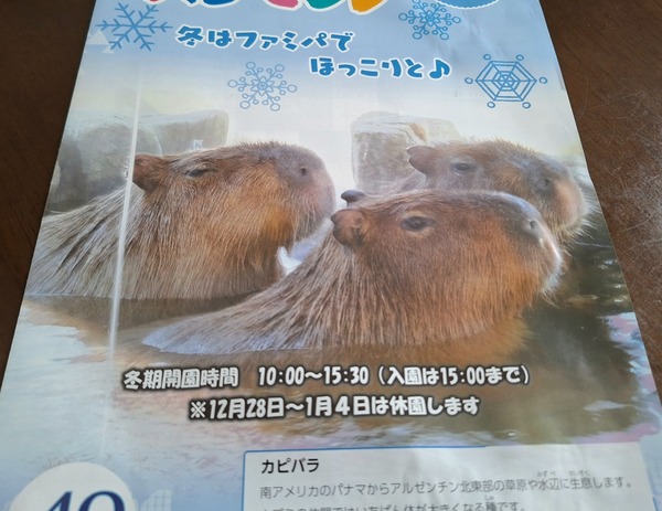 カピバラの湯1