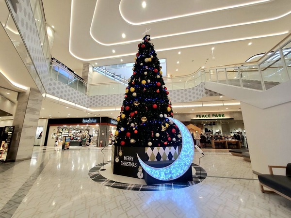 ファボーレクリスマスツリー点灯式1