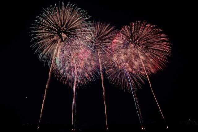 今年も中止が決定 毎年8月1日開催 北日本新聞納涼花火 富山会場 が新型コロナ感染防止の為開催中止に 富山デイズ 富山県富山市の地域情報サイト