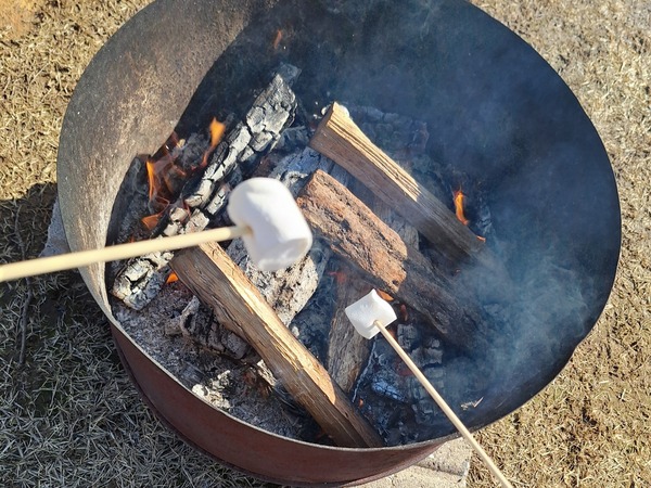 スノーフェスタ1