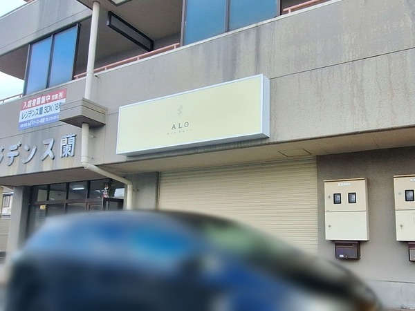 アロアートヘアー1