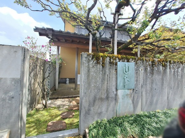 Point Blur_20240417_143501