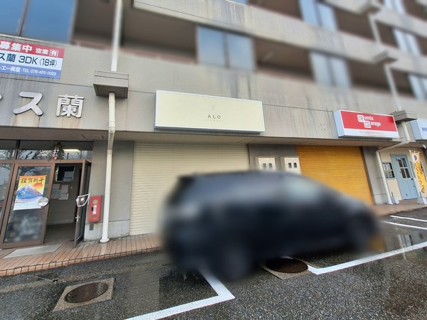 アロアートヘアー2