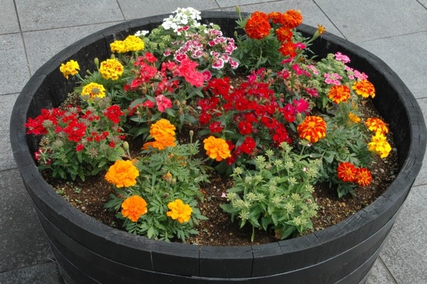 花と緑のフェスティバル