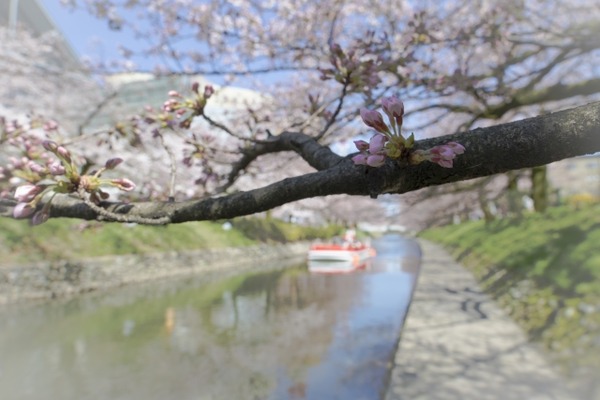 松川遊覧船1