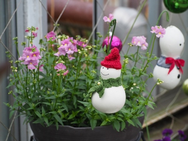 ウィンターフェス