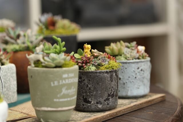 キッチンカー・ワークショップ・植物・手作り雑貨も！『北山ナーセリー