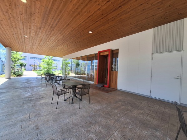 Point Blur_20240620_152358