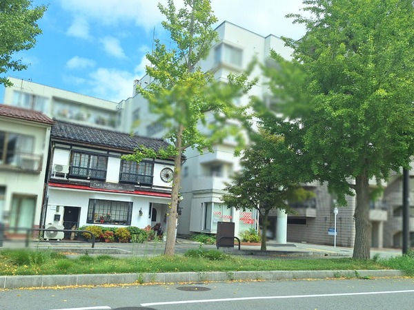 Point Blur_20240909_151615