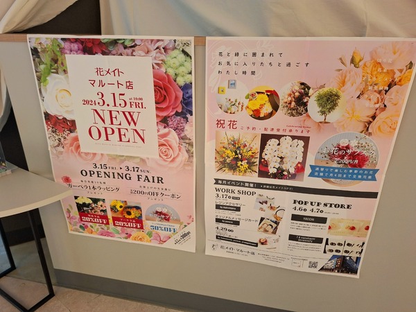 Point Blur_20240312_171505