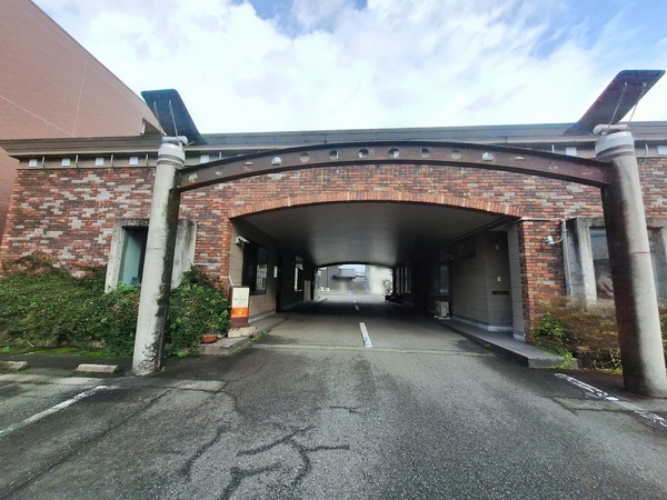 ウプス・ア・デイジー5