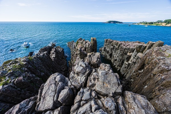 マルート期間限定3