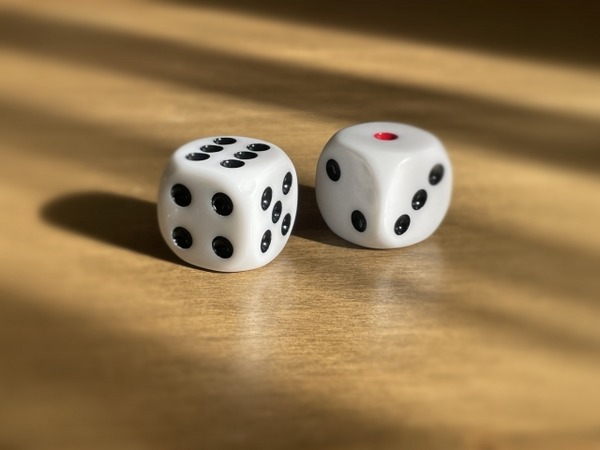 すし決戦きっぷ2