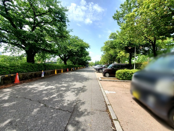 Point Blur_20230523_140200