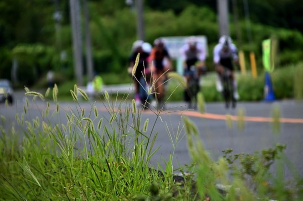 富山湾岸サイクリング4