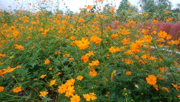 9月2