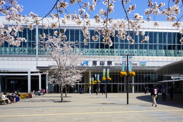 富山駅前で春を満喫！お弁当販売や桜のワークショップに獅子舞演舞も！駅前広場『マルート』前で『TSCお花見イベント 桜まつり』開催。3月30日。