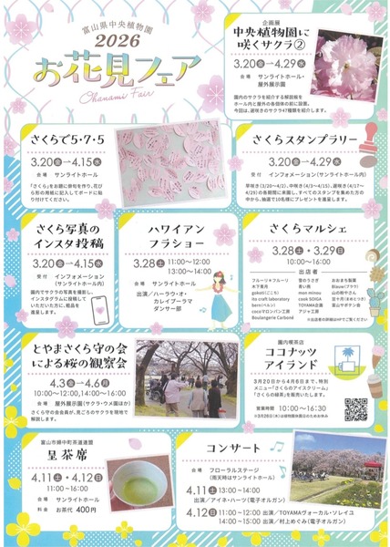 お花見フェア1