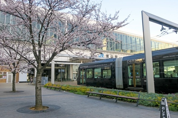 おはなみ5