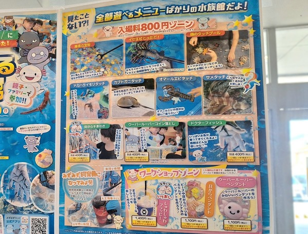 あそべーる水族館5