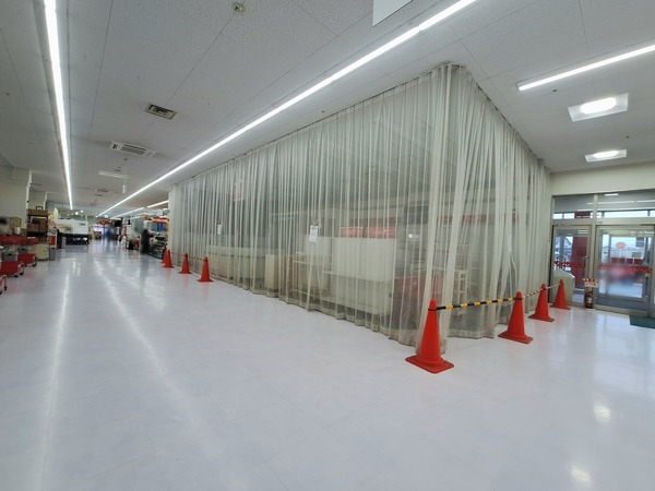 キタムラ1