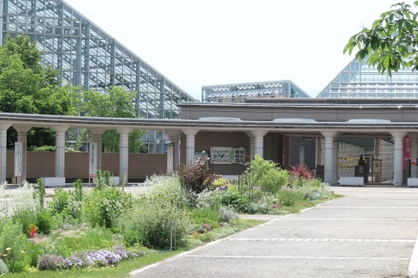 夕涼み植物園4