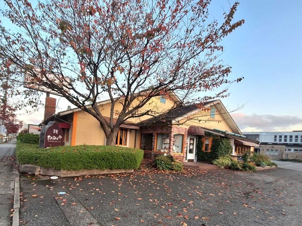 『冬のなんかさ、春のなんかね』