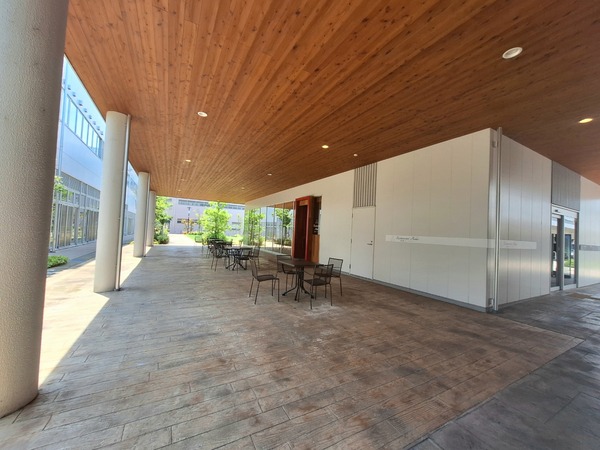 Point Blur_20240620_152441