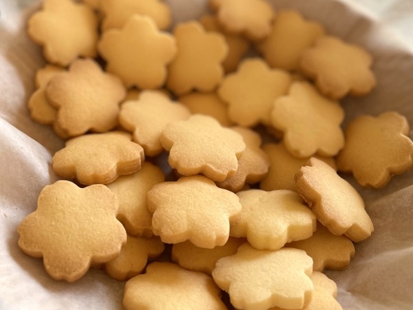 ZAXFOX菓子研究所