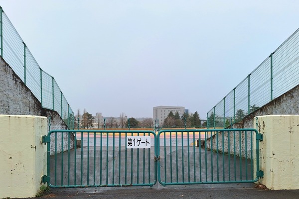 Point Blur_20240124_141843